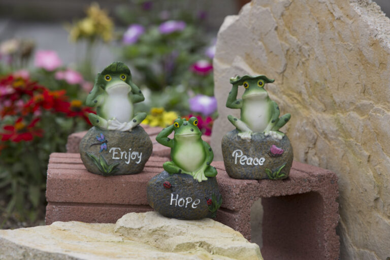 カエルガーデン　無事にカエルじゃん